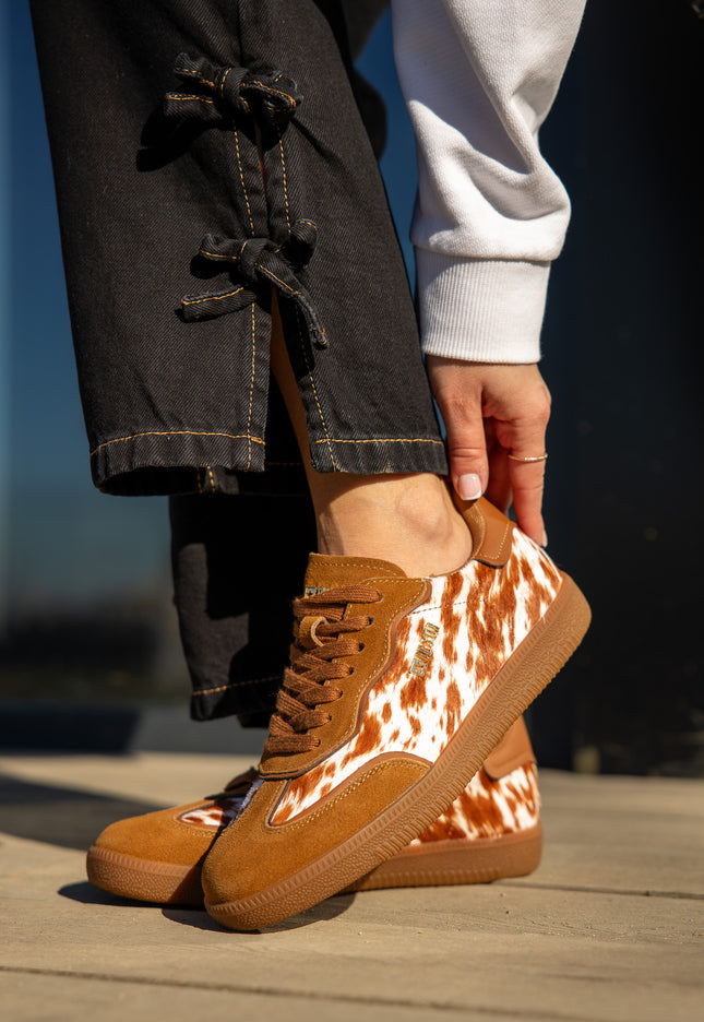 1a61a7072f5071a41ed0b93e7be888b2