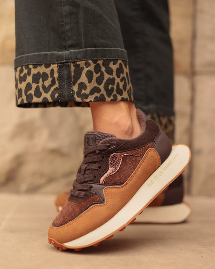 0ae9d776669bb41c66097634045d241b