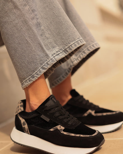 ce2df4b9c0d576ca6ab10274c4ad4766