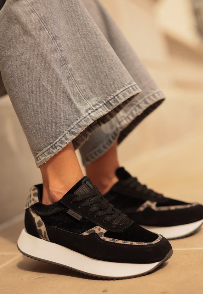 ce2df4b9c0d576ca6ab10274c4ad4766