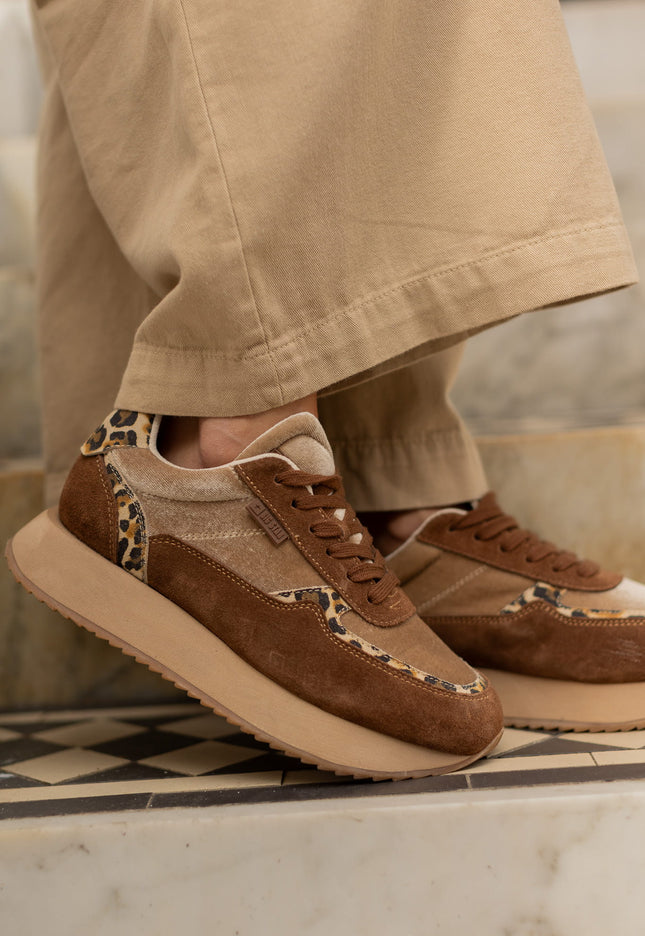 47a7488a542e900a4860cf016fc1cfcd