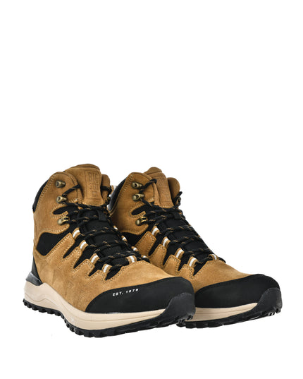 88973412d6fa71cfb8554025b5a809ea